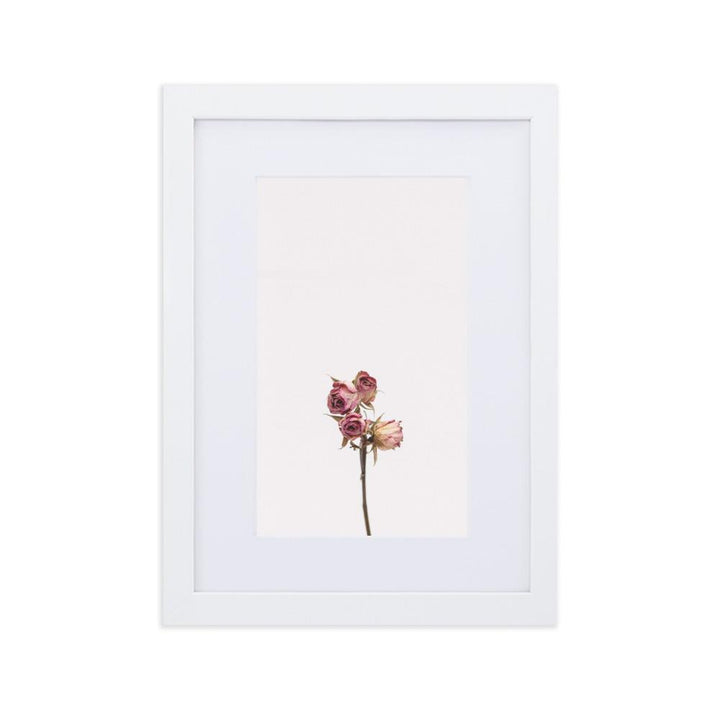 Trockenrosen - Poster im Rahmen mit Passepartout Weiß / 21×30 cm artlia