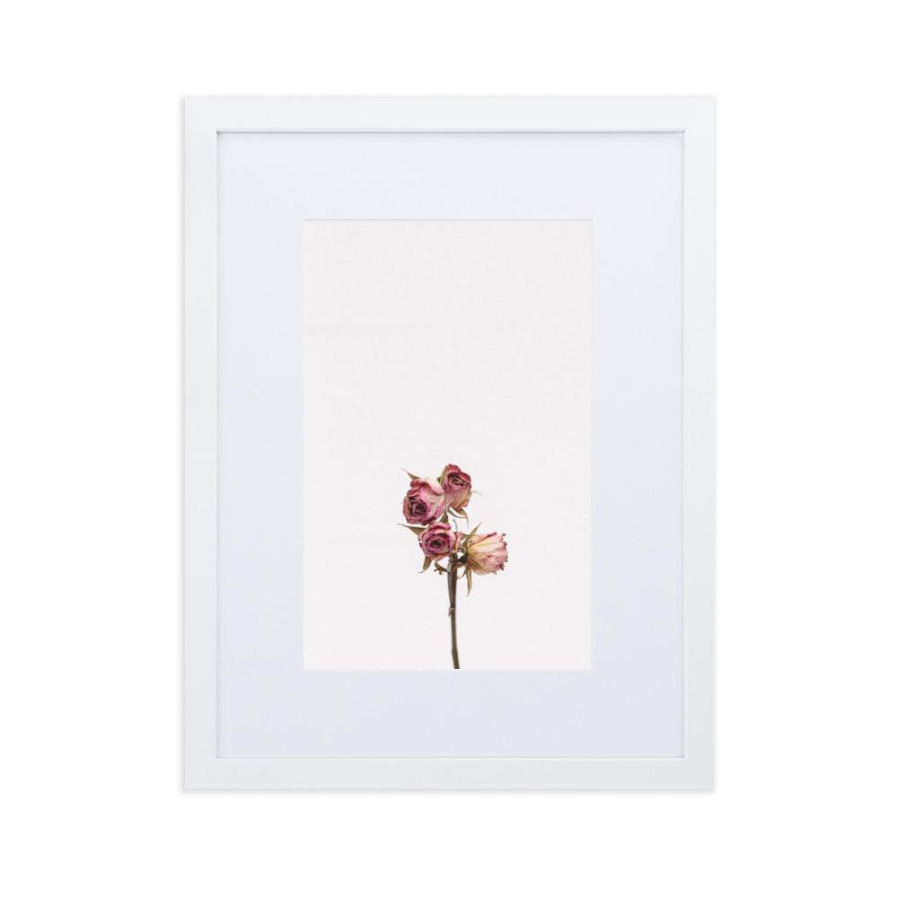 Trockenrosen - Poster im Rahmen mit Passepartout Weiß / 30×40 cm artlia
