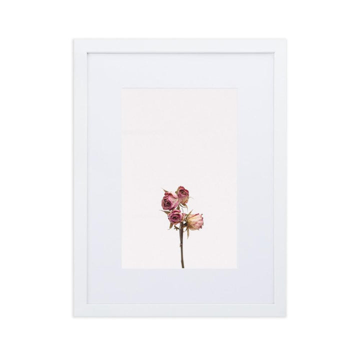 Trockenrosen - Poster im Rahmen mit Passepartout Weiß / 30×40 cm artlia