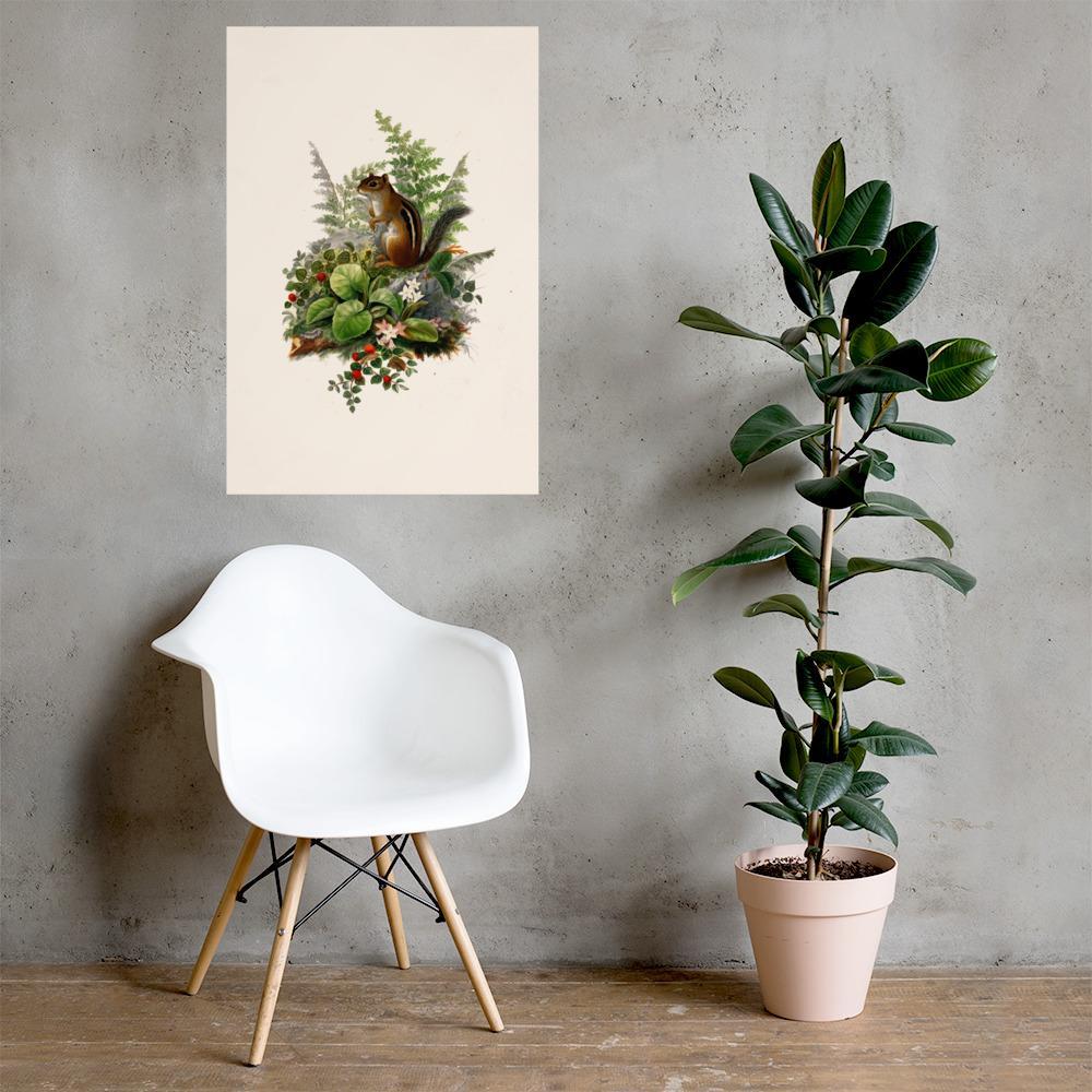 Eichhörnchen - Poster artlia