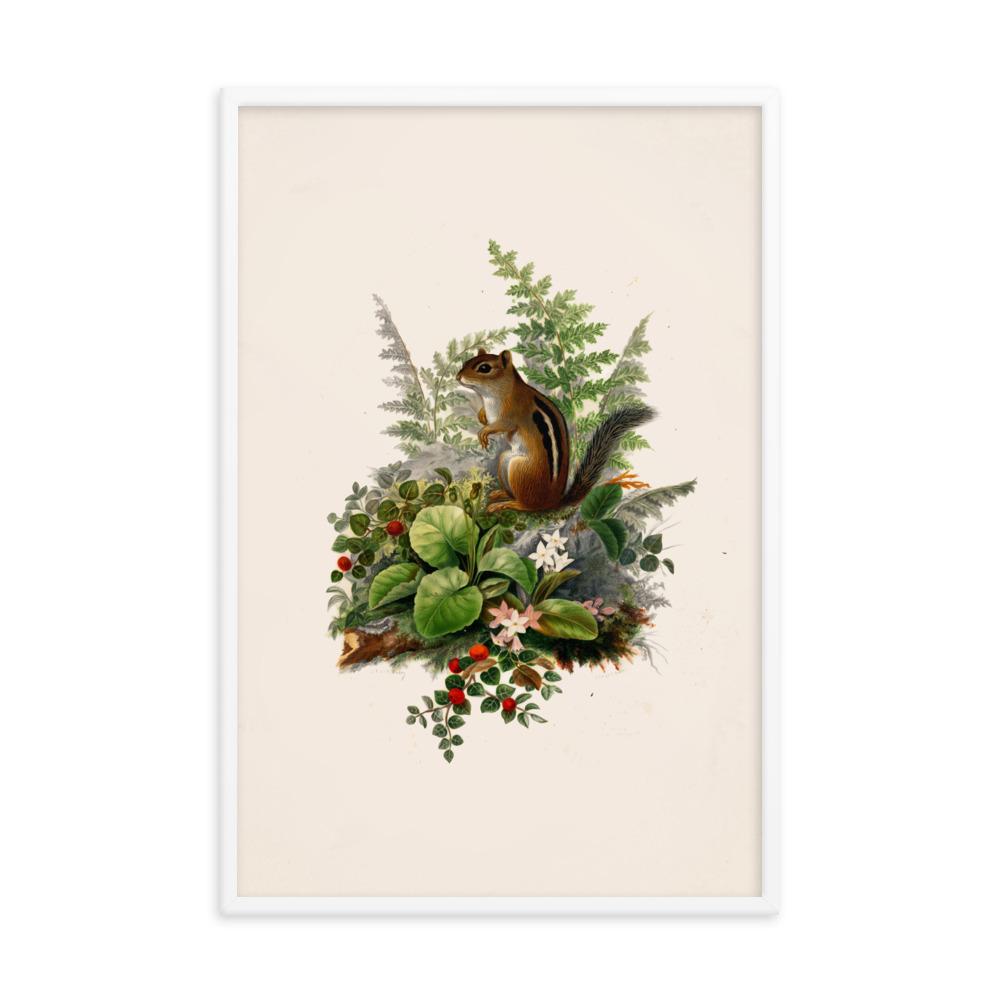 Eichhörnchen - Poster artlia