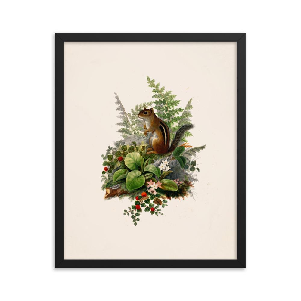 Eichhörnchen - Poster im Rahmen schwarz / 41x51 cm artlia