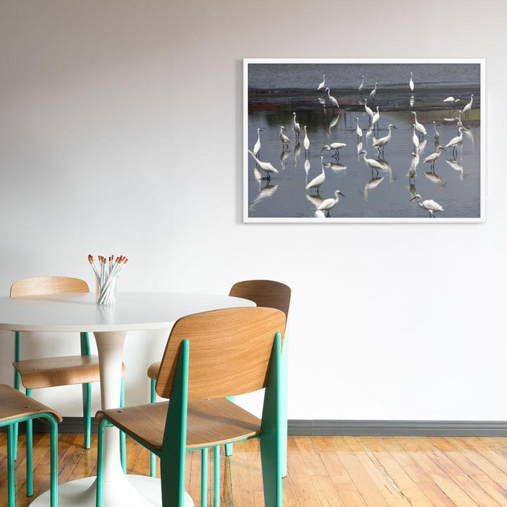 Ein Schwarm Seidenreiher - Poster artlia