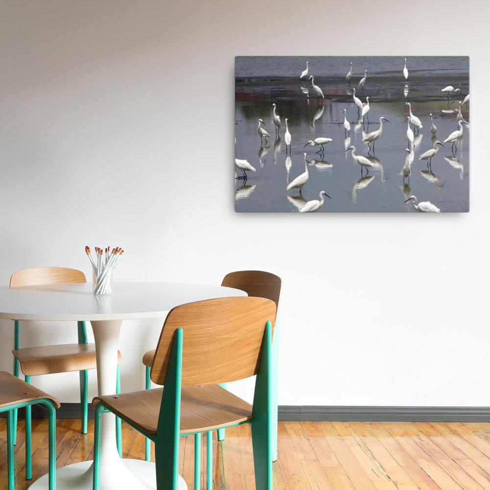 Ein Schwarm Seidenreiher - Leinwand 61x91 cm artlia