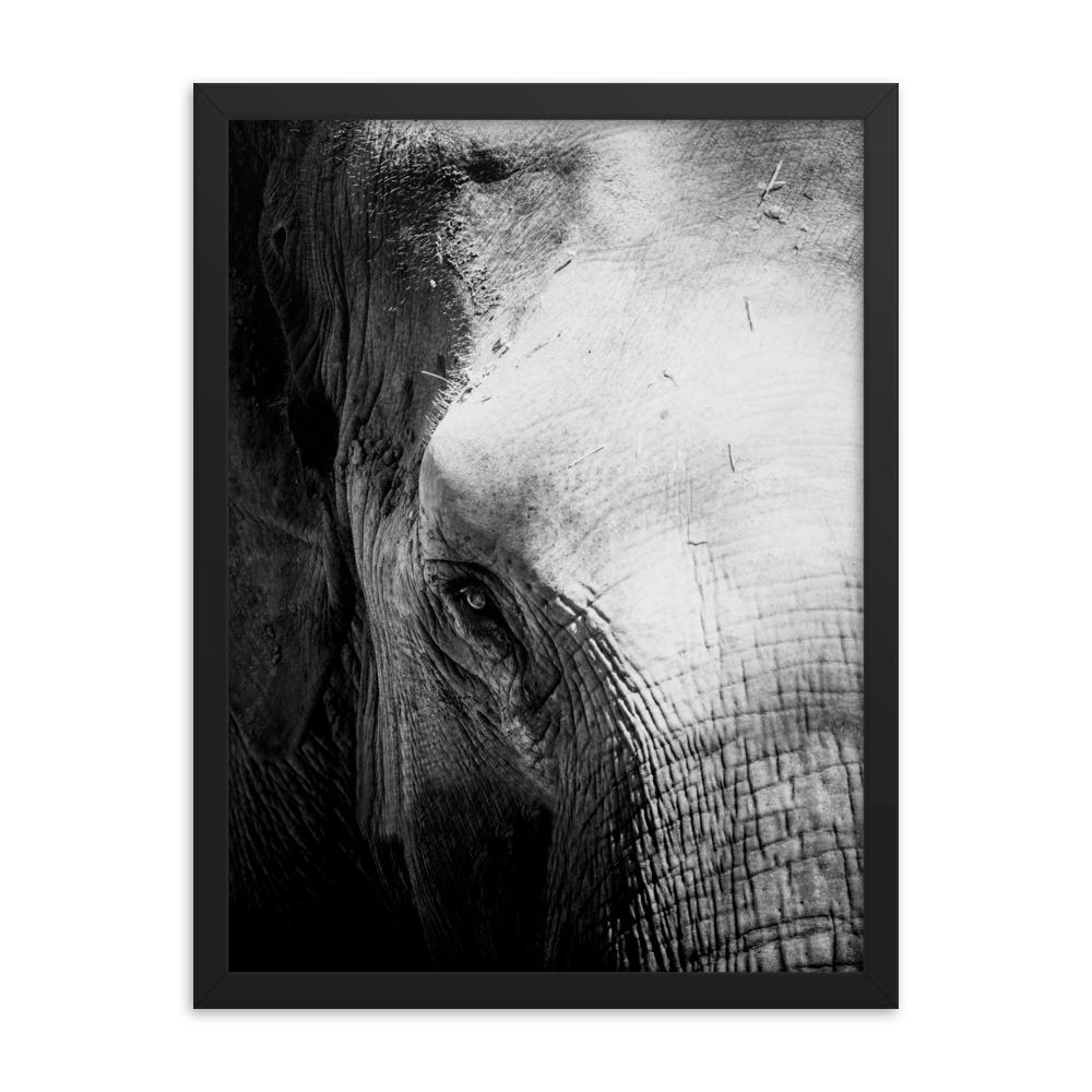 Elefant von Chiangmai - Poster im Rahmen schwarz / 30x41 cm artlia