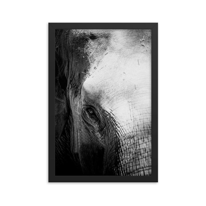 Elefant von Chiangmai - Poster im Rahmen schwarz / 30x45 cm artlia