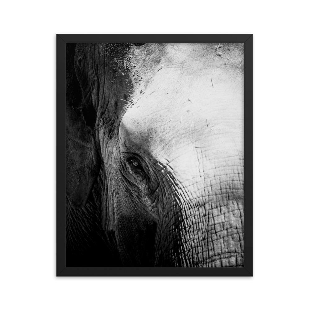 Elefant von Chiangmai - Poster im Rahmen schwarz / 41x51 cm artlia