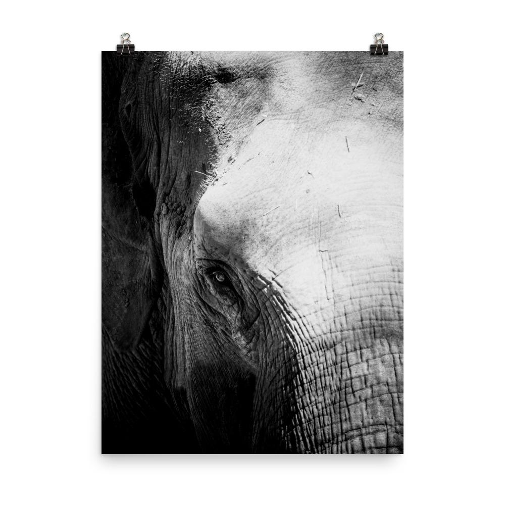 Elefant von Chiangmai - Poster 20x25 cm artlia