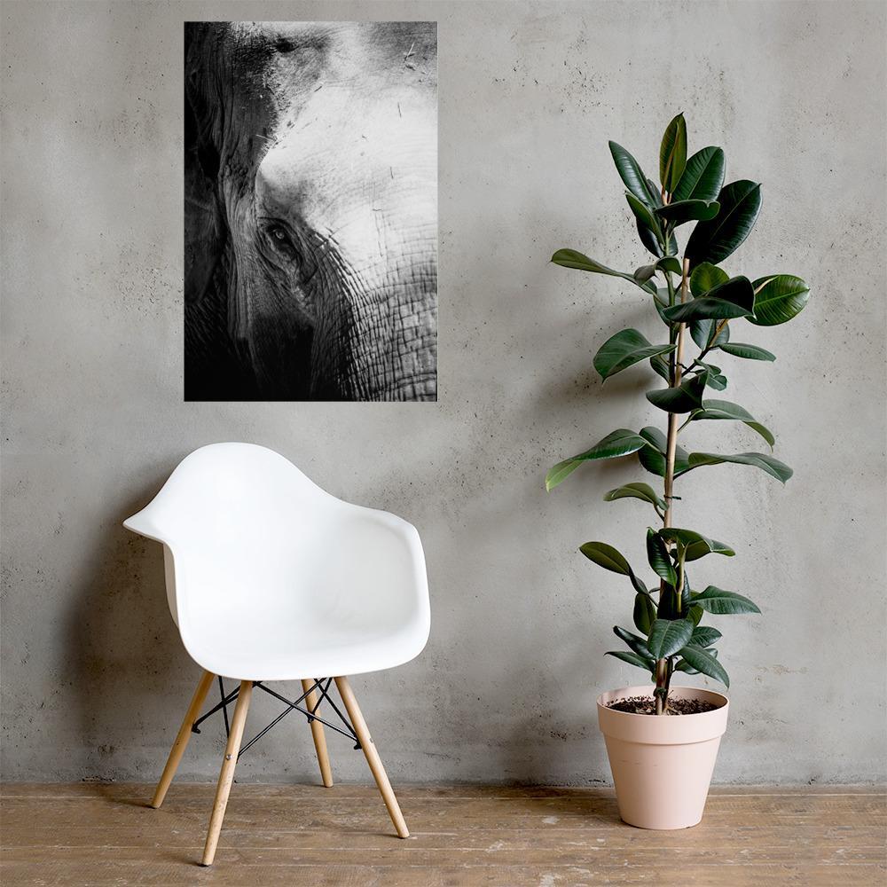 Elefant von Chiangmai - Poster artlia