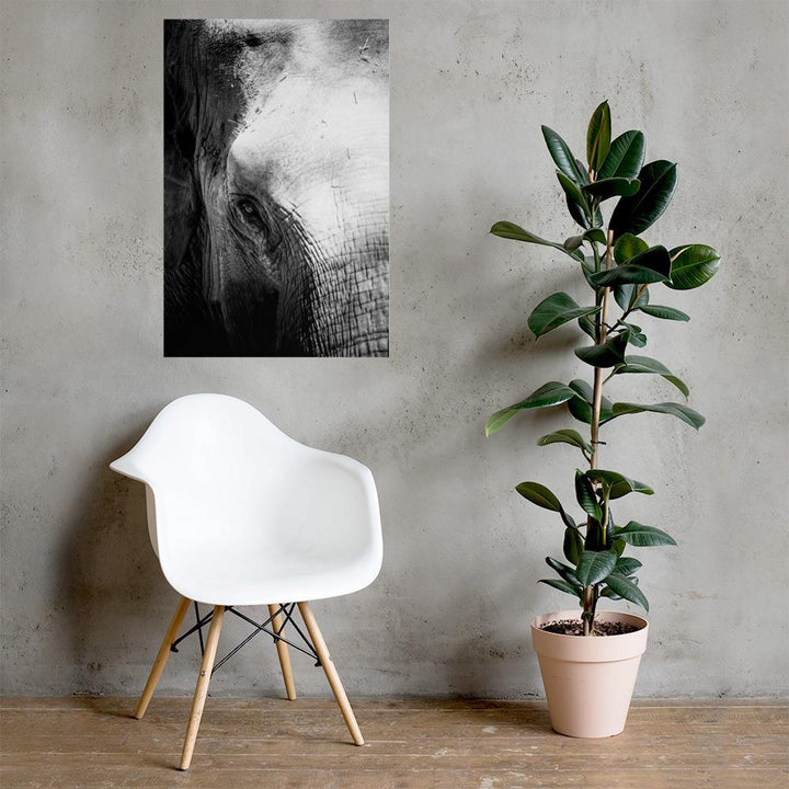 Elefant von Chiangmai - Poster artlia