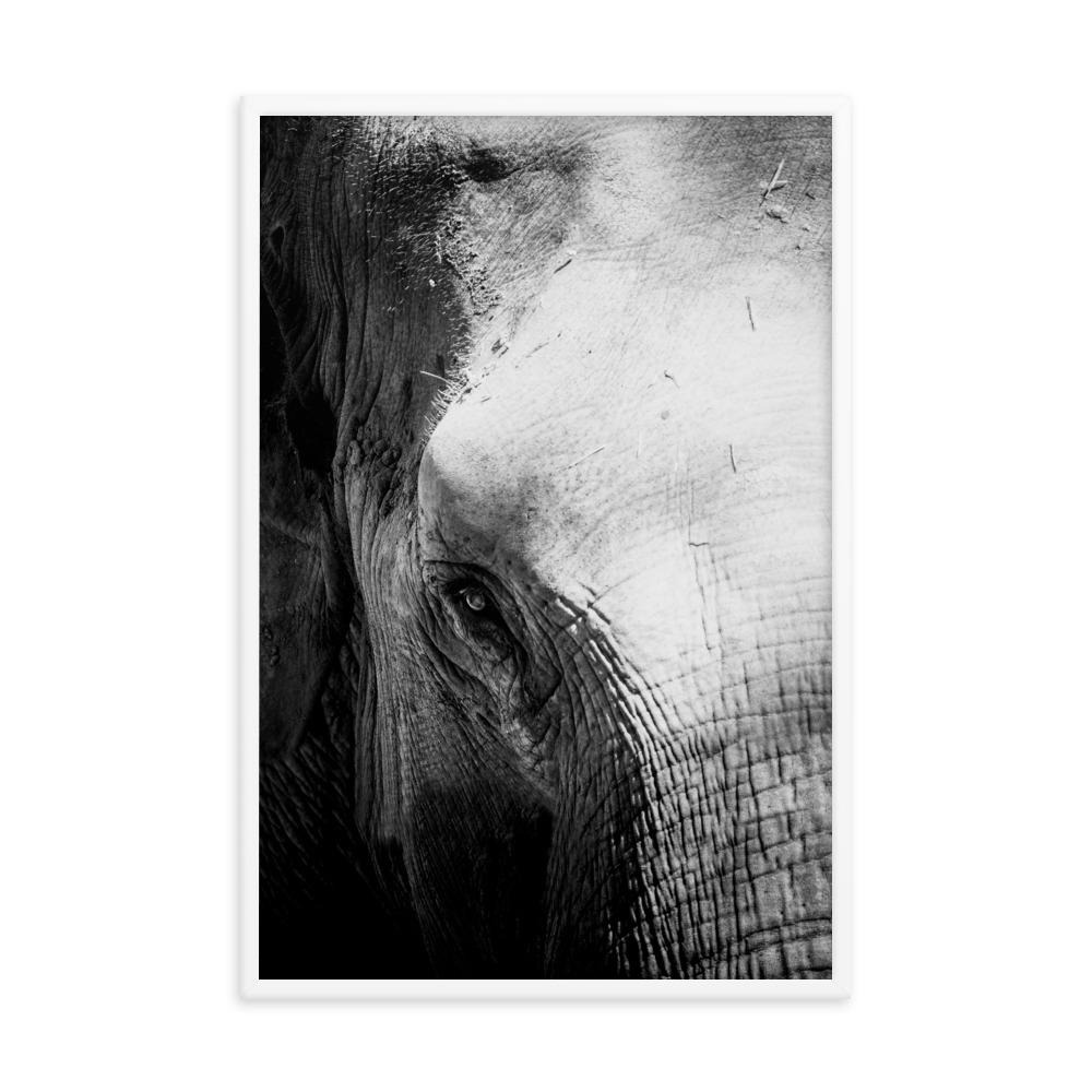 Elefant von Chiangmai - Poster artlia