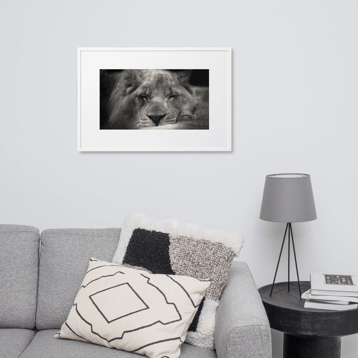 Entspannter Löwin - Poster im Rahmen mit Passepartout artlia