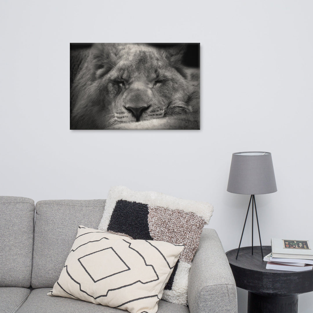 Entspannter Löwin - Leinwand artlia