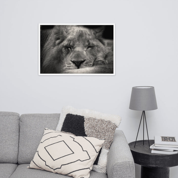 Entspannter Löwin - Poster im Rahmen artlia