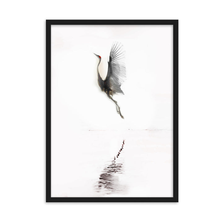fliegender Kranich - Poster im Rahmen Schwarz / 50×70 cm artlia
