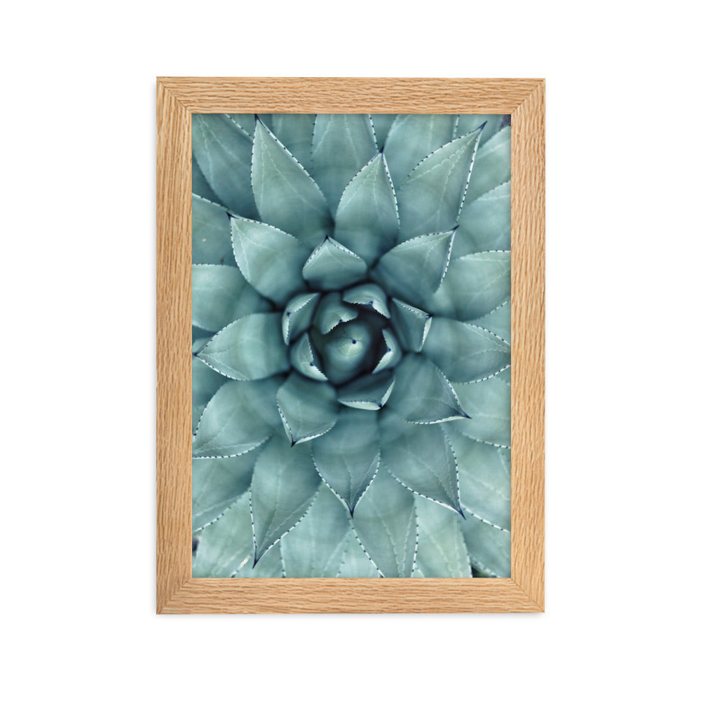 Blumenkaktus - Poster im Rahmen Oak / 21×30 cm artlia