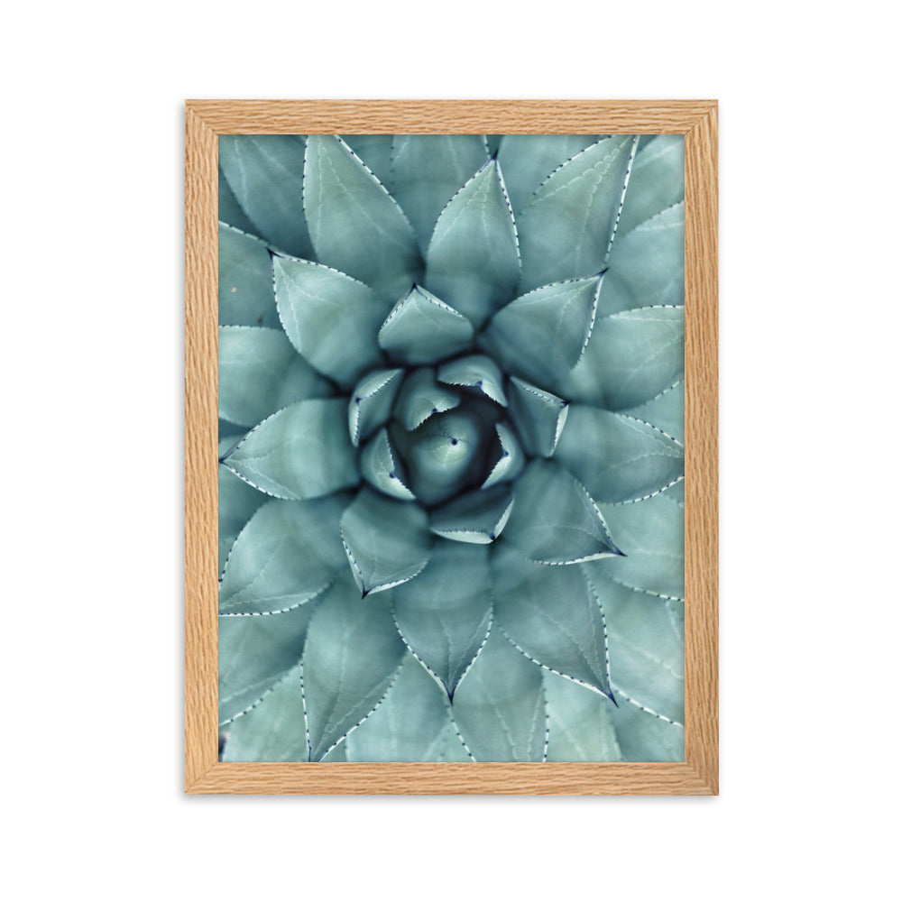 Blumenkaktus - Poster im Rahmen Oak / 30×40 cm artlia