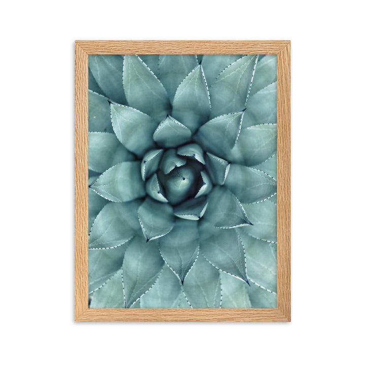 Blumenkaktus - Poster im Rahmen Oak / 30×40 cm artlia