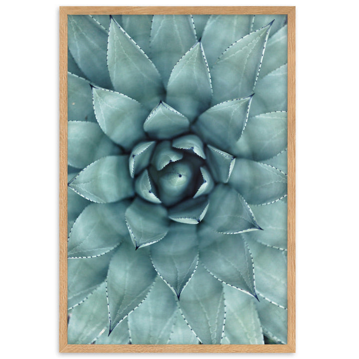 Blumenkaktus - Poster im Rahmen Oak / 61×91 cm artlia