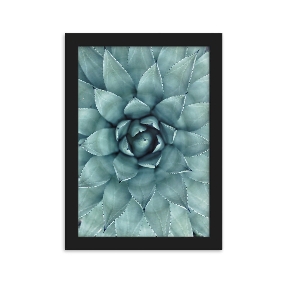 Blumenkaktus - Poster im Rahmen Schwarz / 21×30 cm artlia