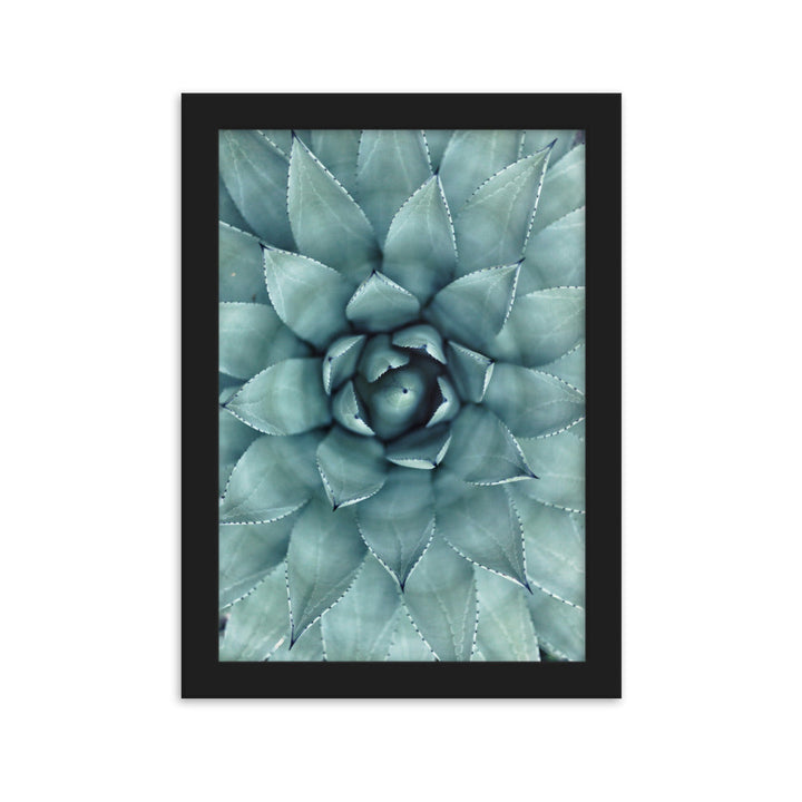 Blumenkaktus - Poster im Rahmen Schwarz / 21×30 cm artlia