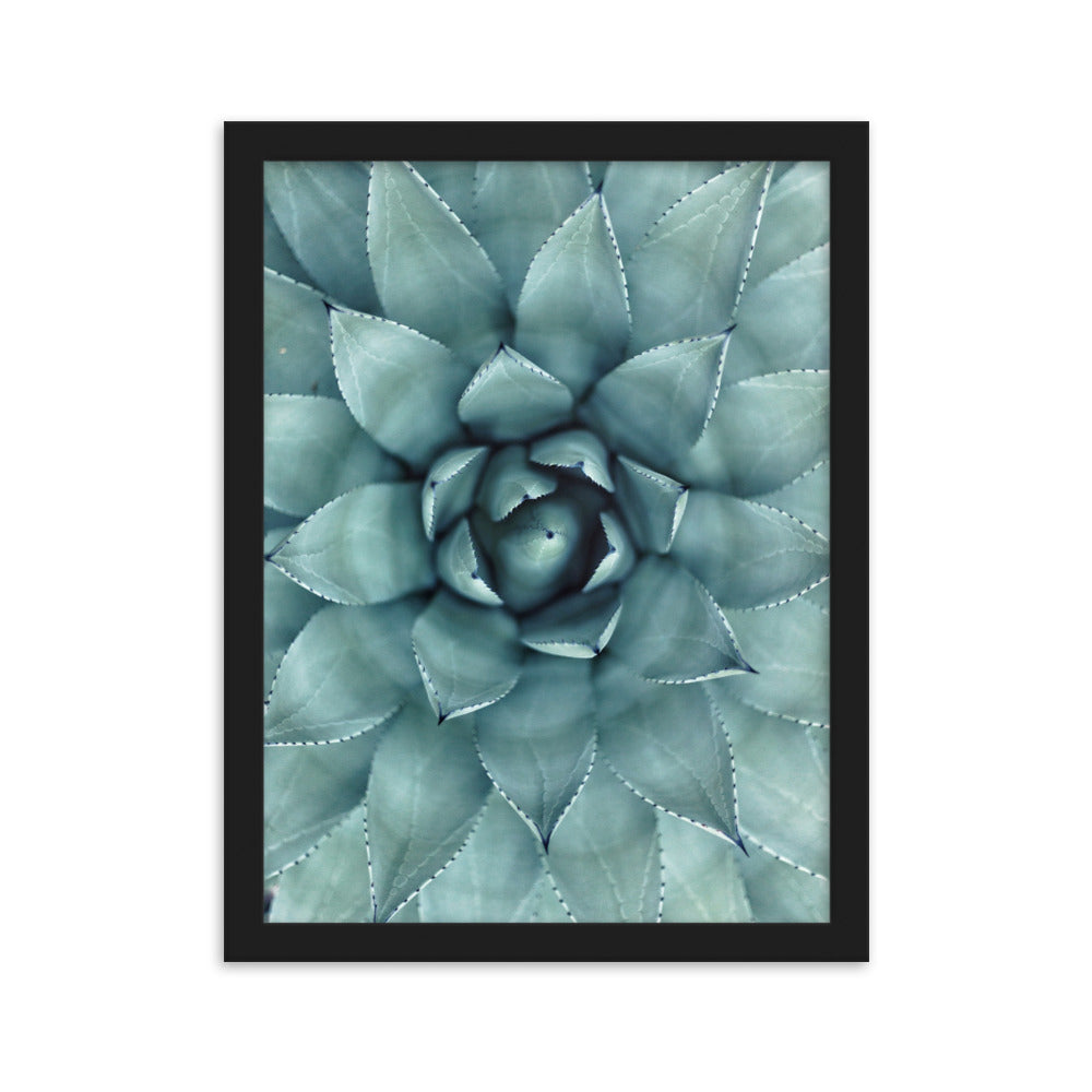 Blumenkaktus - Poster im Rahmen Schwarz / 30×40 cm artlia