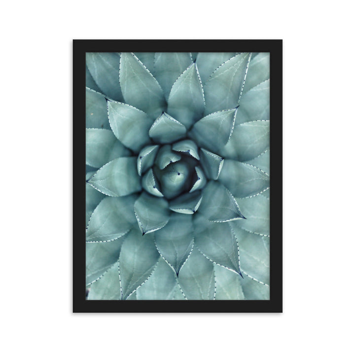 Blumenkaktus - Poster im Rahmen Schwarz / 30×40 cm artlia