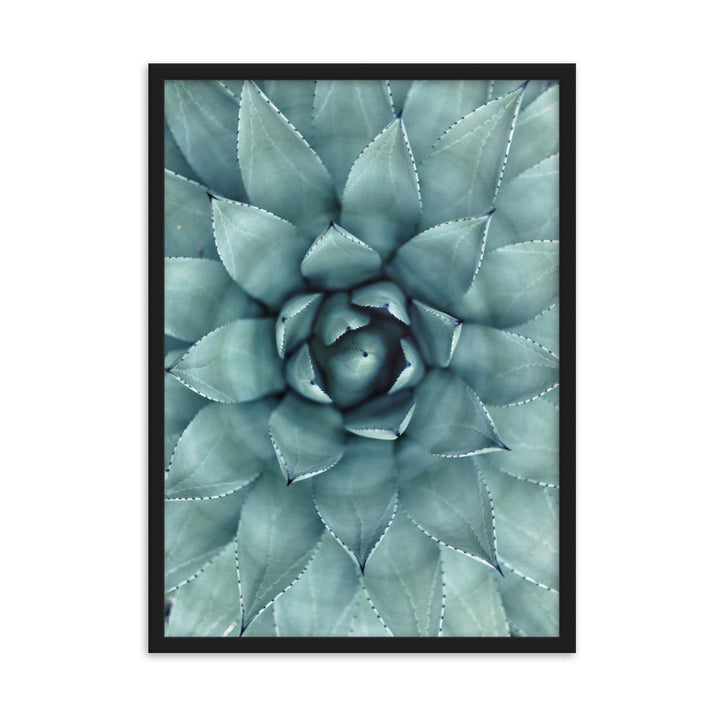 Blumenkaktus - Poster im Rahmen Schwarz / 50×70 cm artlia