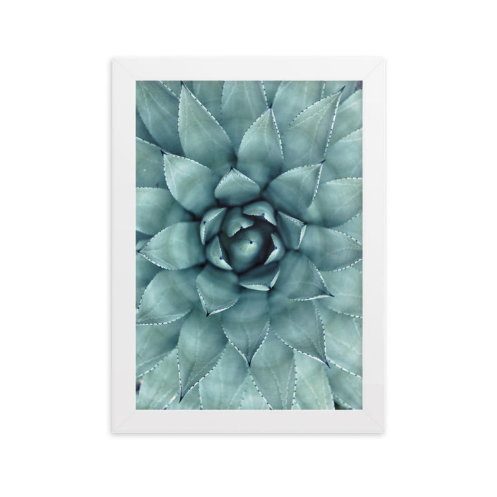 Blumenkaktus - Poster im Rahmen Weiß / 21×30 cm artlia