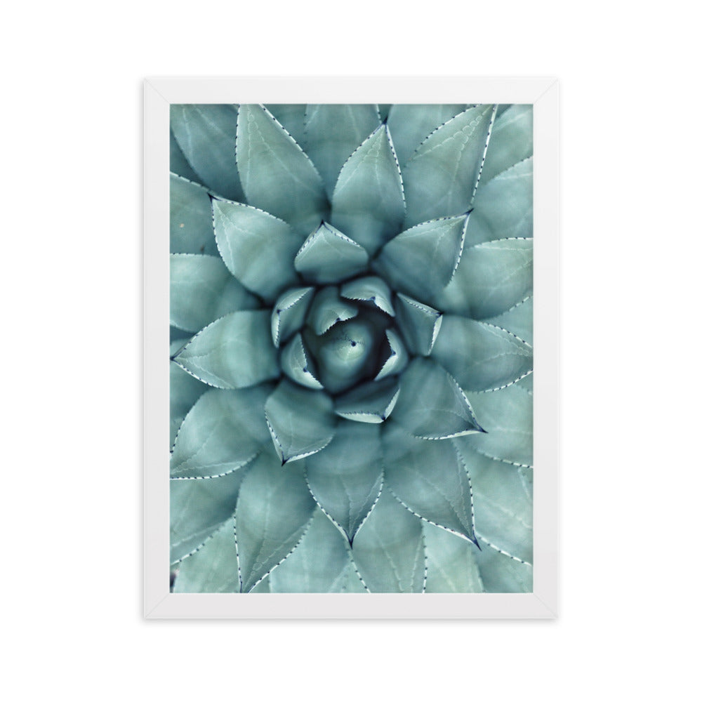 Blumenkaktus - Poster im Rahmen Weiß / 30×40 cm artlia