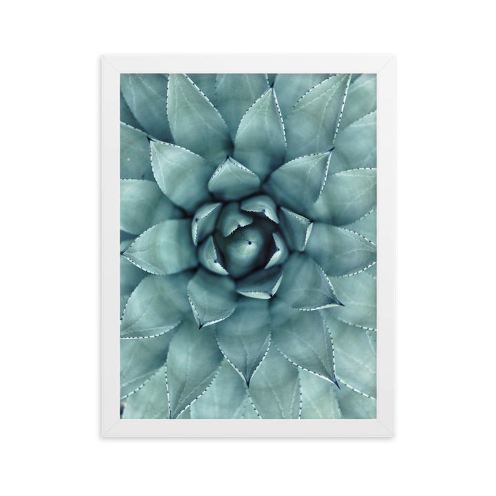 Blumenkaktus - Poster im Rahmen Weiß / 30×40 cm artlia