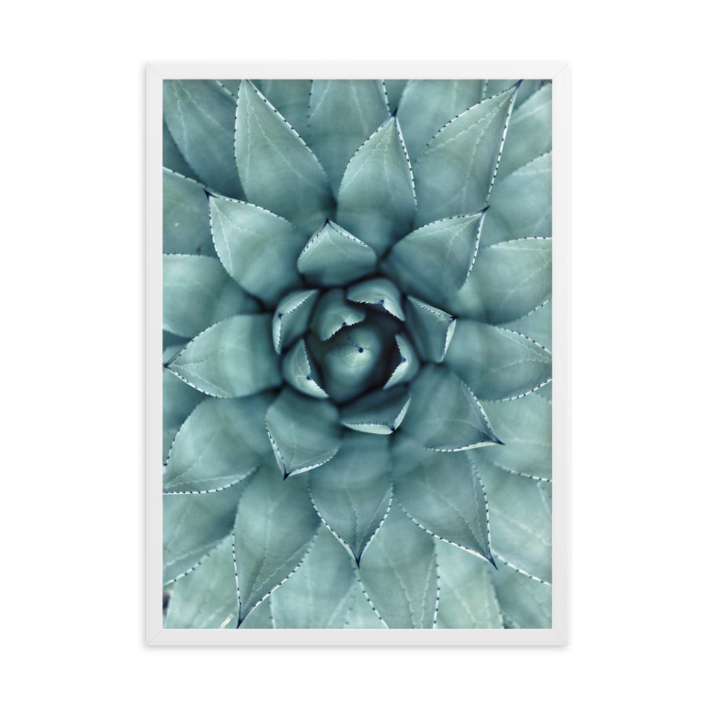 Blumenkaktus - Poster im Rahmen Weiß / 50×70 cm artlia
