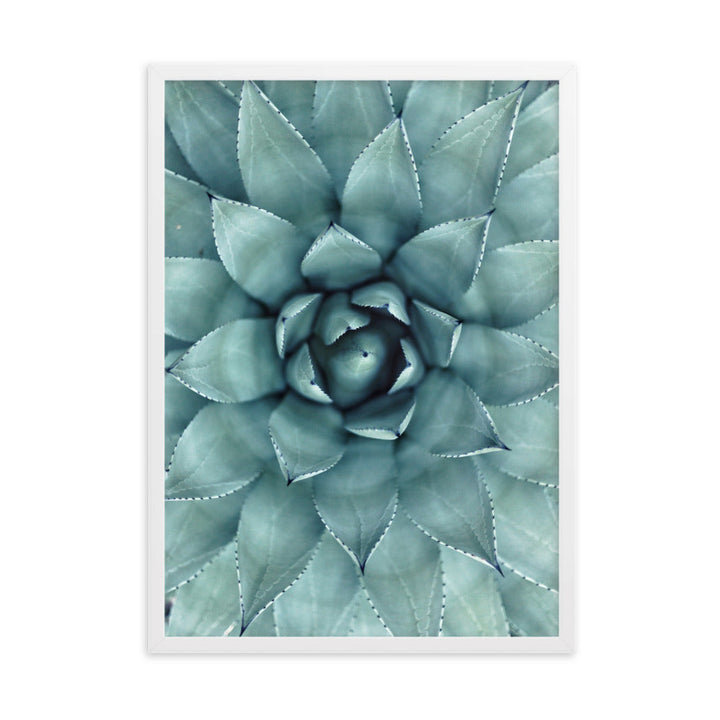 Blumenkaktus - Poster im Rahmen Weiß / 50×70 cm artlia