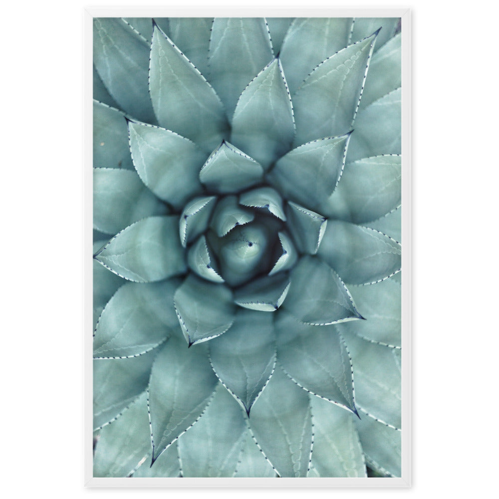 Blumenkaktus - Poster im Rahmen Weiß / 61×91 cm artlia