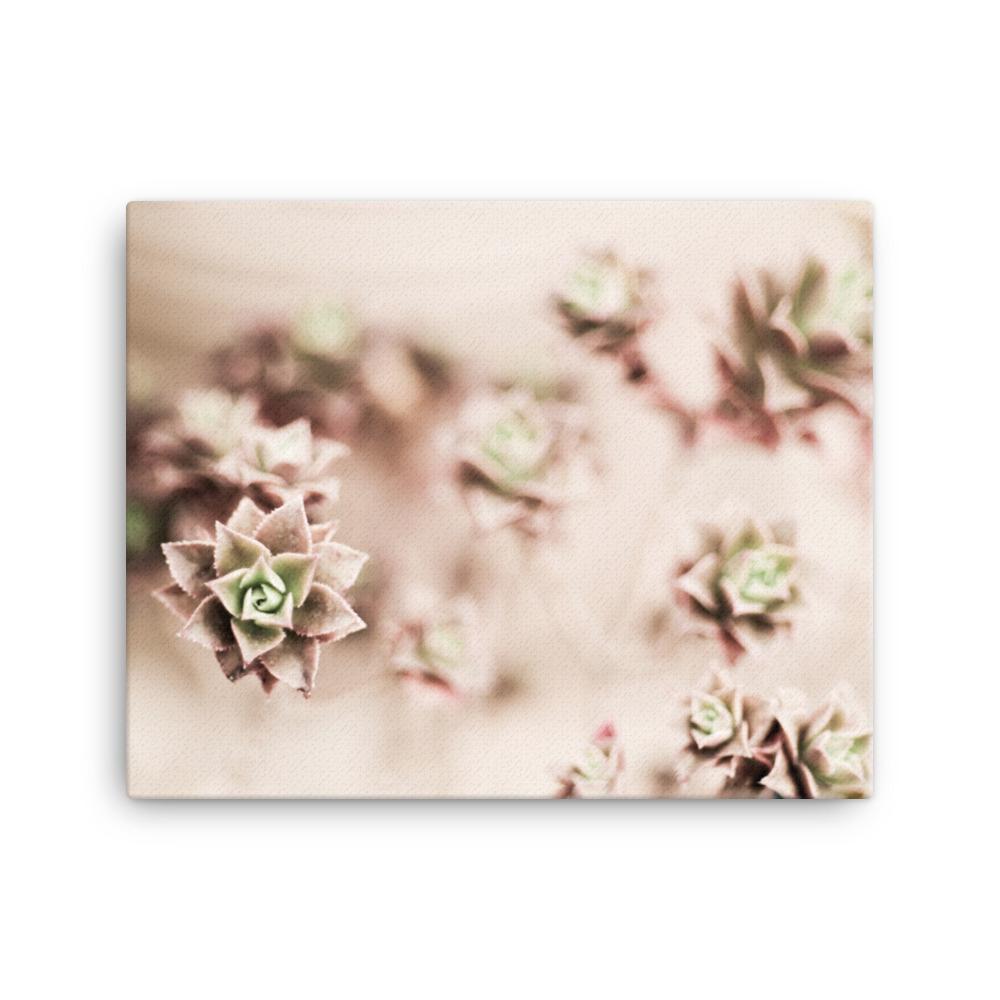 Flower Cactus - Leinwand 41x51 cm artlia