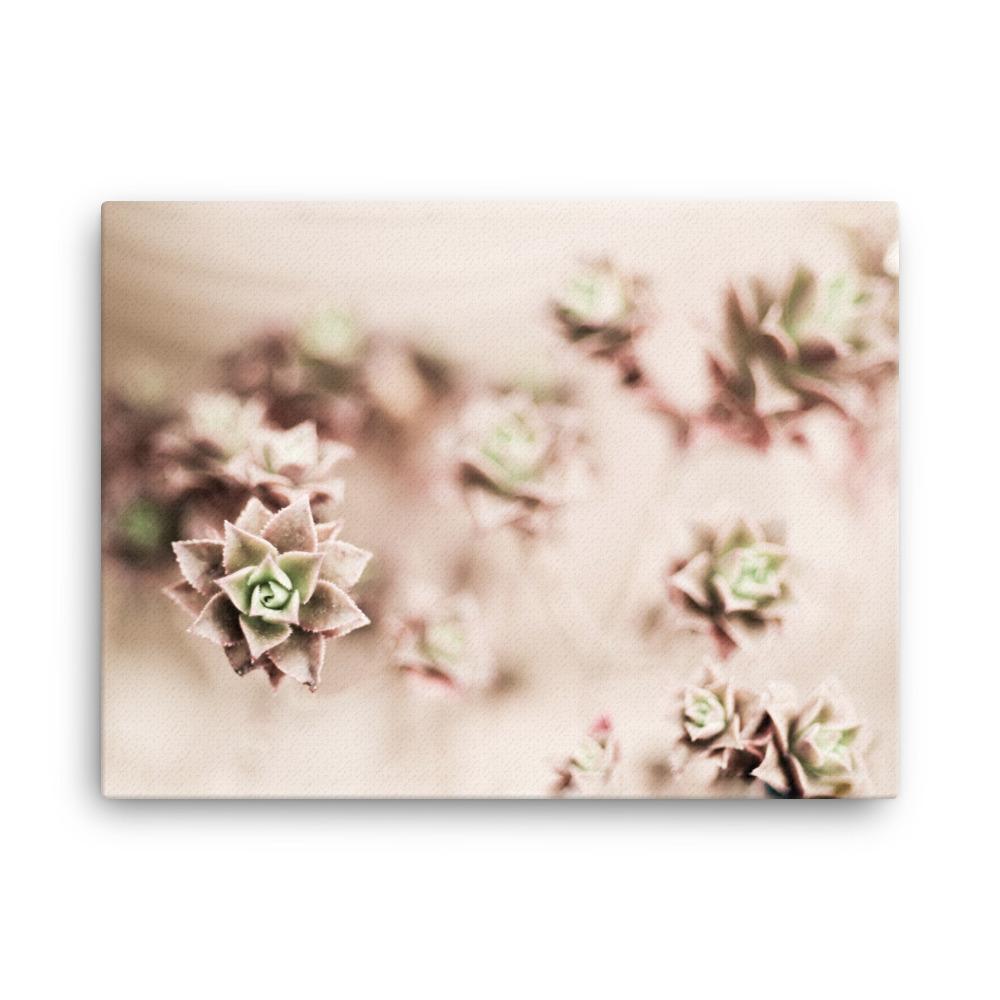 Flower Cactus - Leinwand 46x61 cm artlia