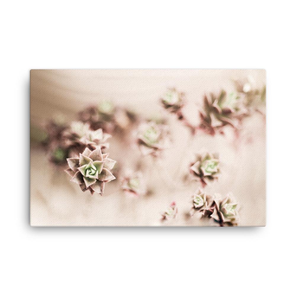 Flower Cactus - Leinwand 61x91 cm artlia