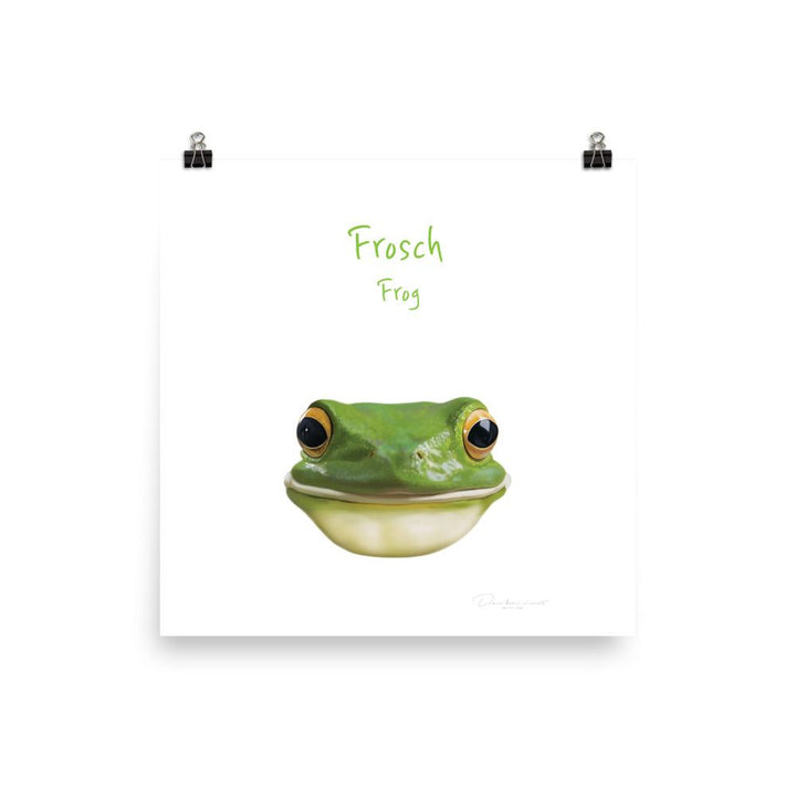 Frosch - Tier Poster für Kinder 25x25 cm artlia