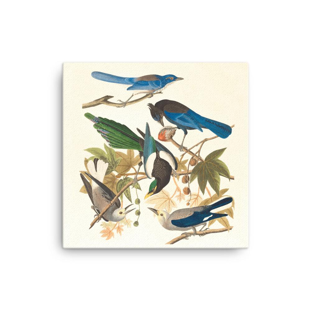 fünf Vögel auf den Ästen - Leinwand 30x30 cm artlia