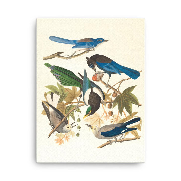 fünf Vögel auf den Ästen - Leinwand 30x41 cm artlia