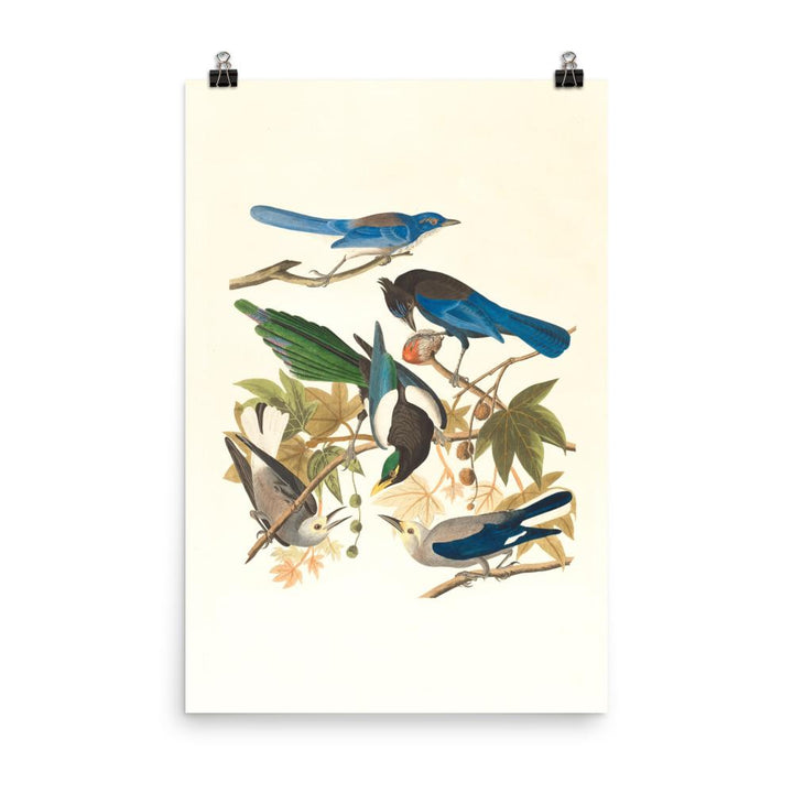 fünf Vögel auf den Ästen - Poster 30x45 cm artlia