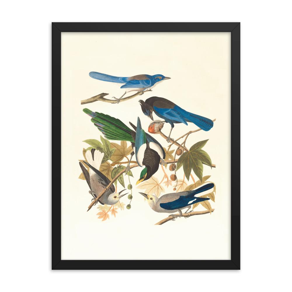 fünf Vögel auf den Ästen - Poster im Rahmen schwarz / 30x41 cm artlia