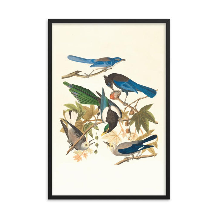 fünf Vögel auf den Ästen - Poster im Rahmen schwarz / 61x91 cm artlia