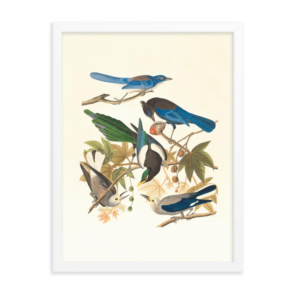 fünf Vögel auf den Ästen - Poster im Rahmen weiß / 30x41 cm artlia
