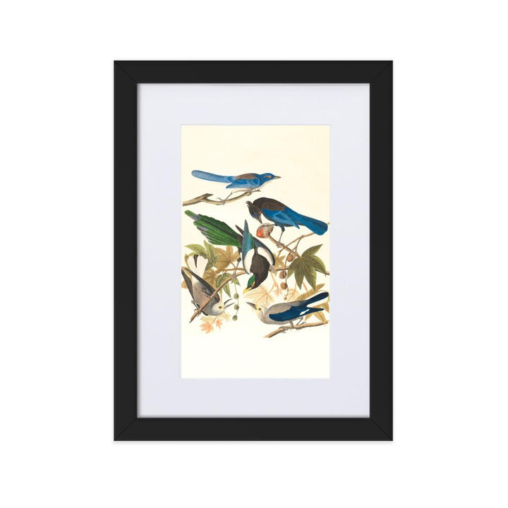 fünf Vögel auf den Ästen - Poster im Rahmen mit Passepartout schwarz / 21×30 cm artlia