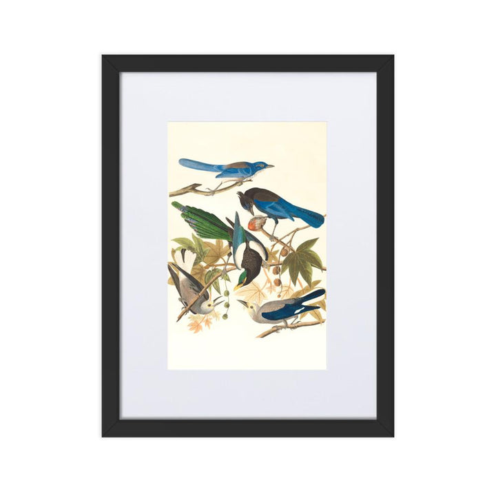 fünf Vögel auf den Ästen - Poster im Rahmen mit Passepartout schwarz / 30×40 cm artlia
