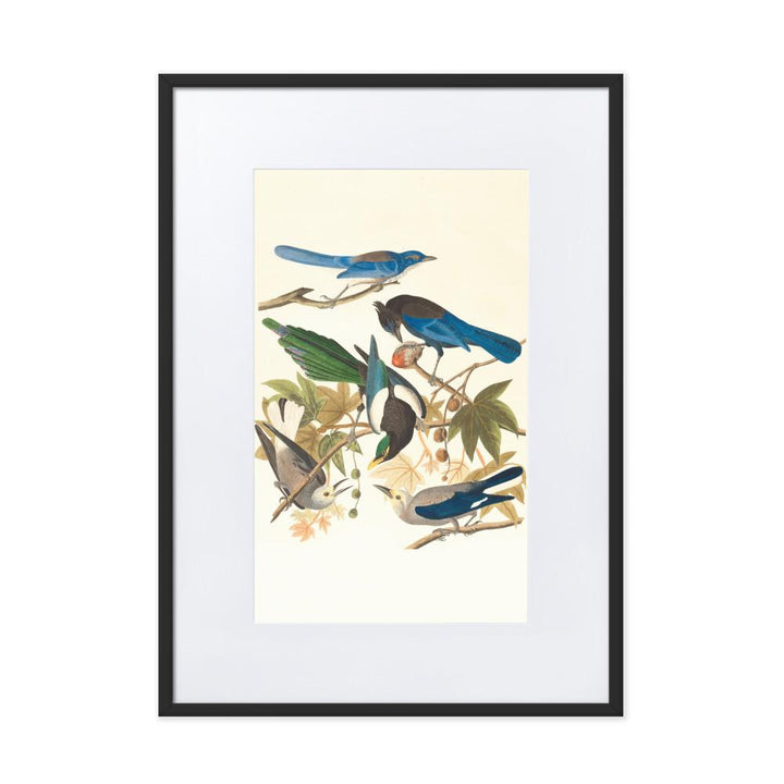 fünf Vögel auf den Ästen - Poster im Rahmen mit Passepartout schwarz / 50×70 cm artlia