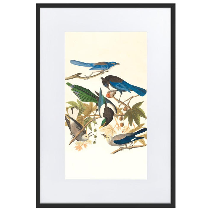 fünf Vögel auf den Ästen - Poster im Rahmen mit Passepartout schwarz / 61×91 cm artlia