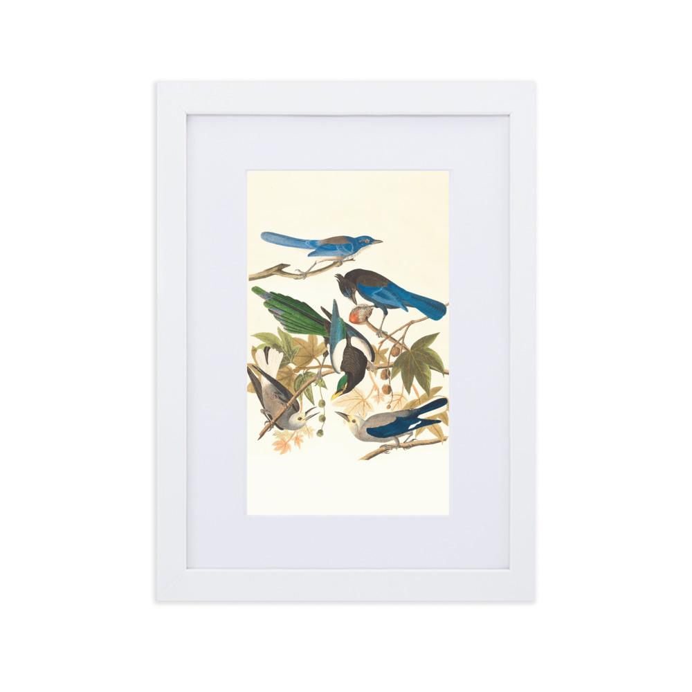 fünf Vögel auf den Ästen - Poster im Rahmen mit Passepartout weiß / 21×30 cm artlia