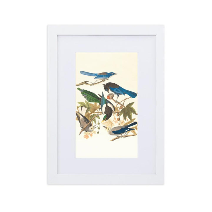 fünf Vögel auf den Ästen - Poster im Rahmen mit Passepartout weiß / 21×30 cm artlia